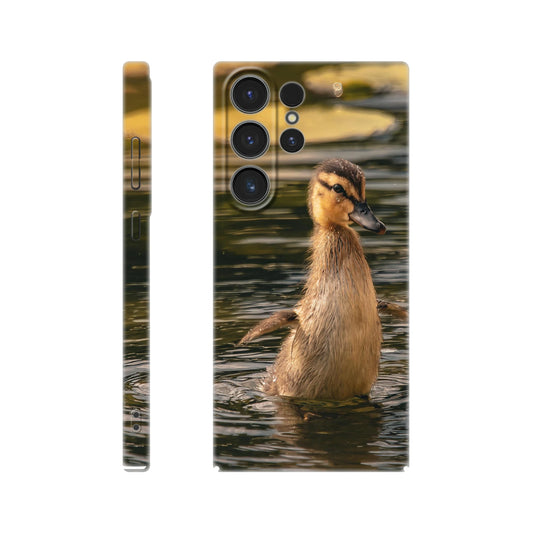 49b1253d-3897-4f85-ba65-6146a688c8bf