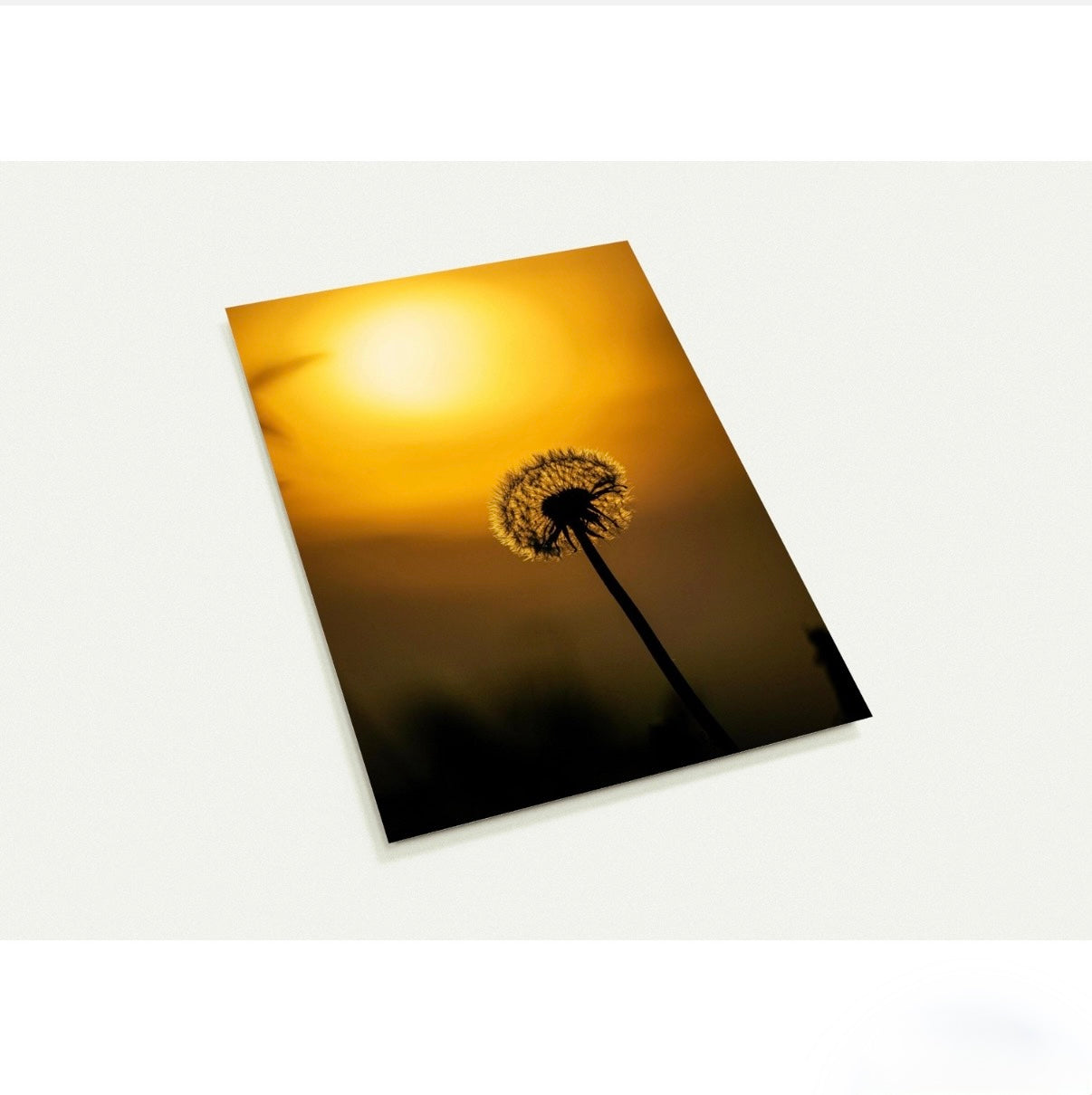 Pusteblume/ A6 (10.5 x 14.8)