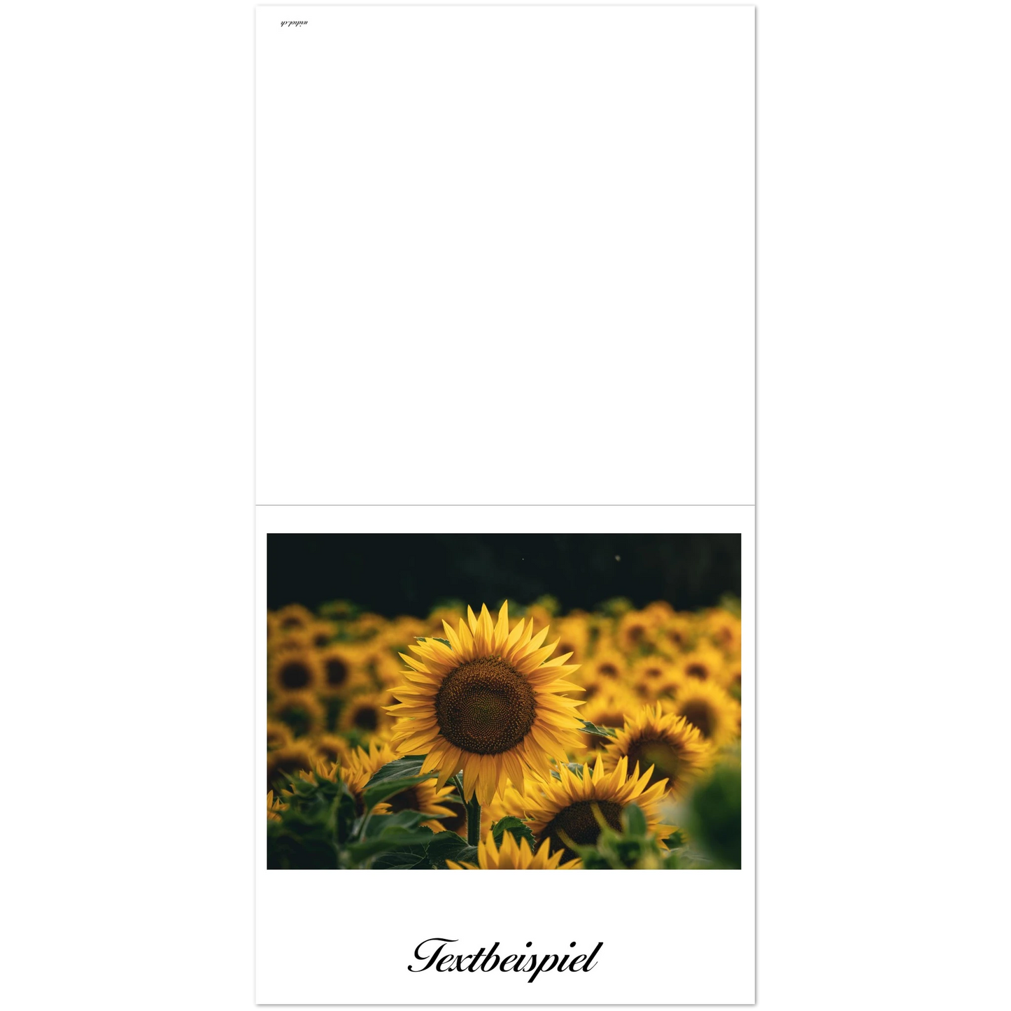 ae14c40e-0b84-429a-a83a-eb29a8461953