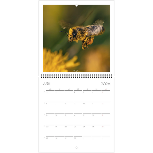 e2b94f86-00a8-44bc-b563-a99a93303584