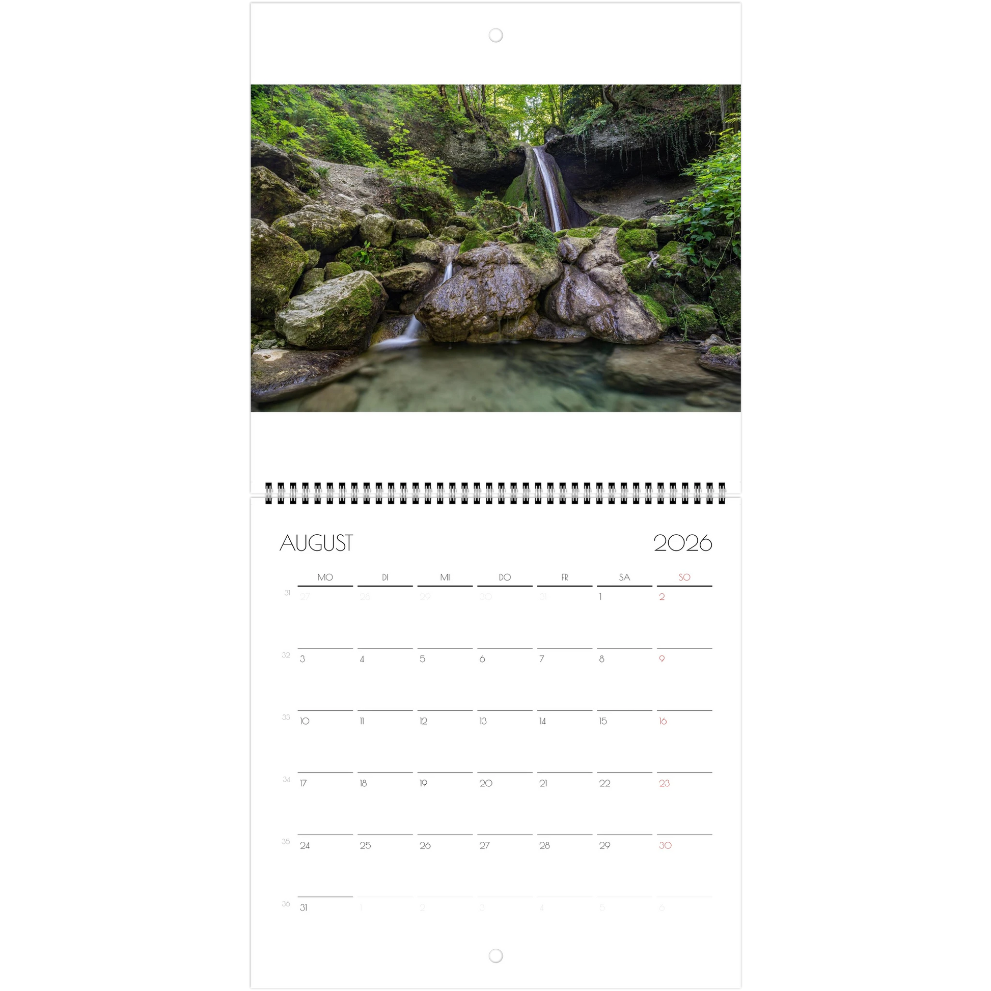 00dff5c0-d723-468f-b6d5-cd550f75a205