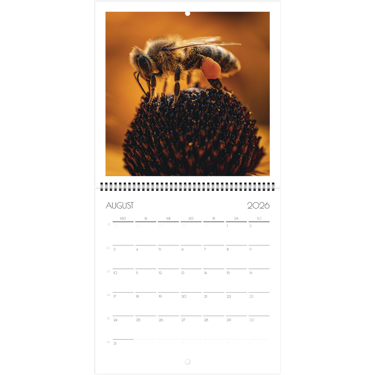 0e7a02a7-0c95-43c1-a06c-6e40cee8fda6