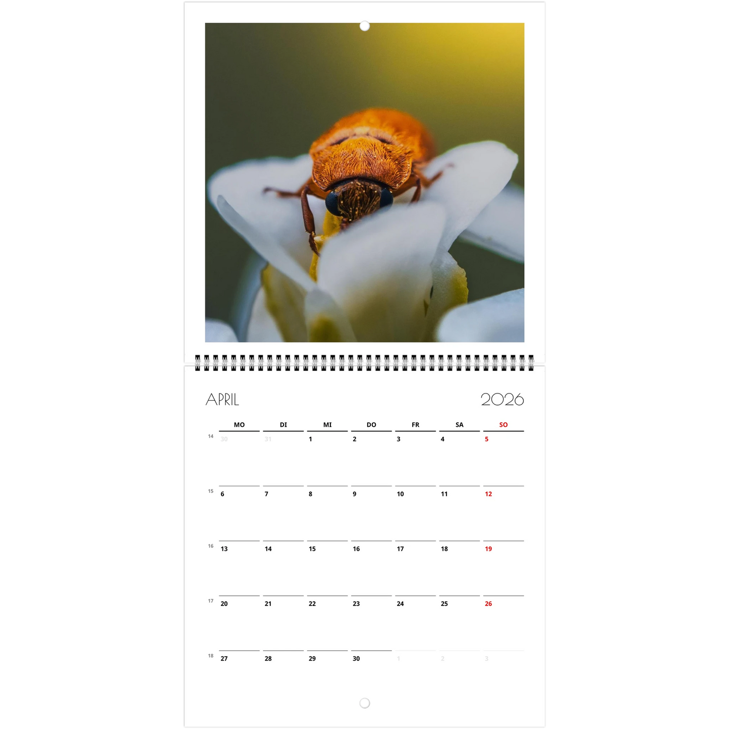 11ebfe2a-8a2d-4399-b9dd-051ff0221fdf