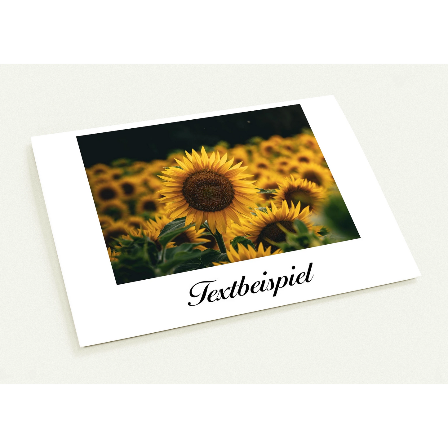 2ccd576f-6e2a-4be6-91be-43b8a0fe72e4