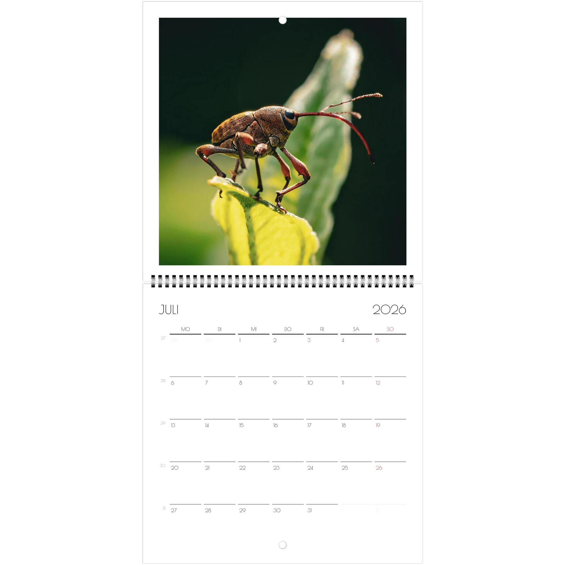 3c36ca79-485e-436e-a848-2bc76b3c9773