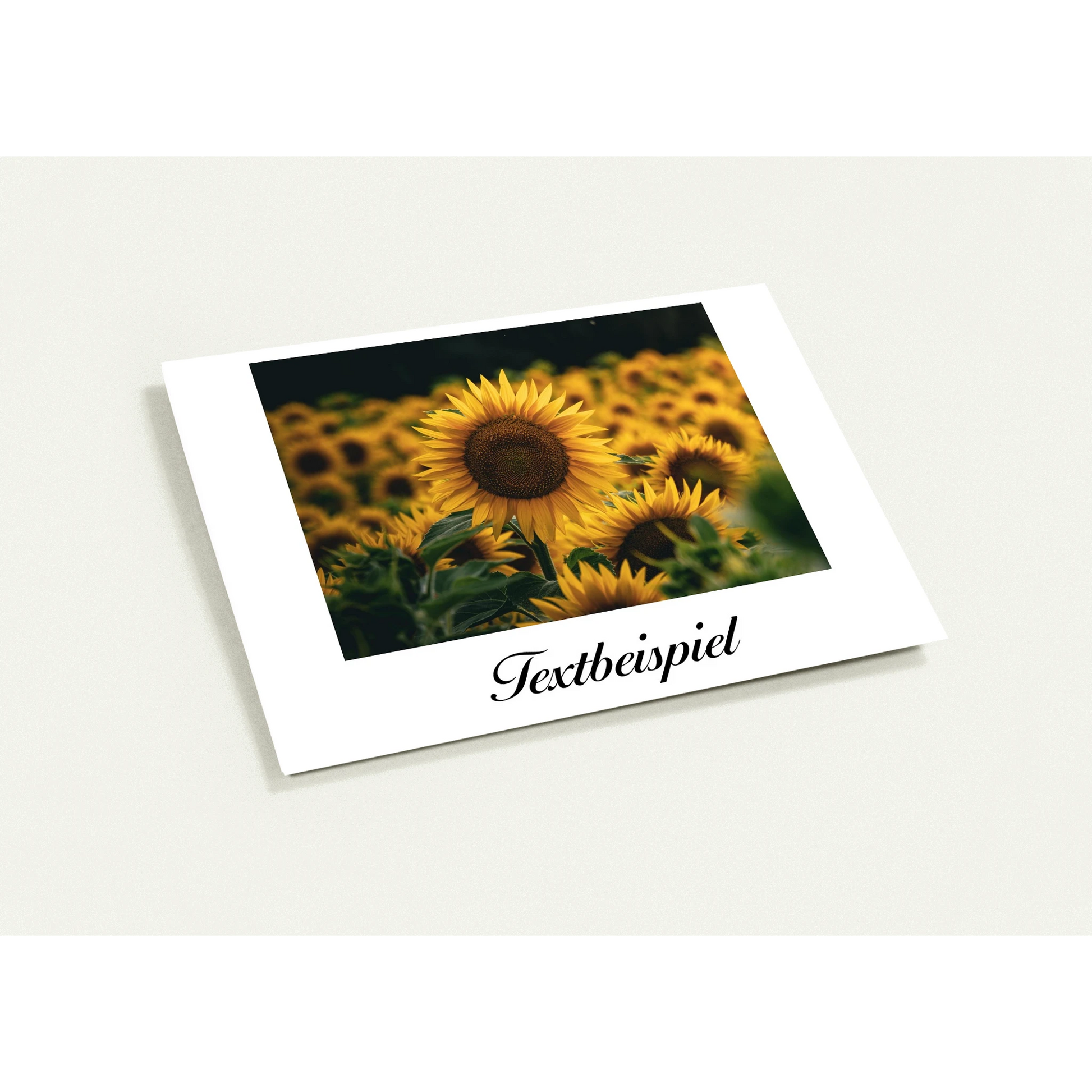 46ff04c2-8b43-4fea-88ee-f04e9bb17cb0