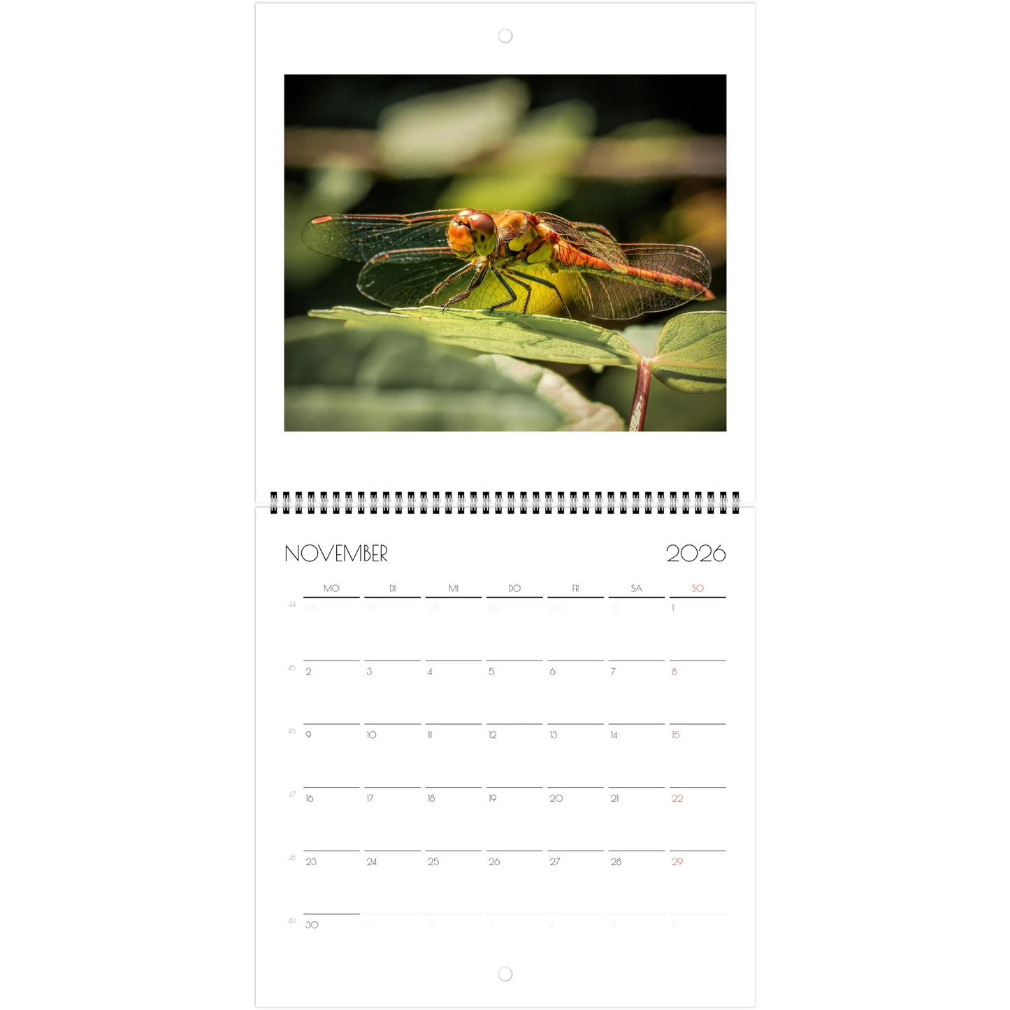 47e42d2d-5fd1-4d7c-a49f-703bf343435c