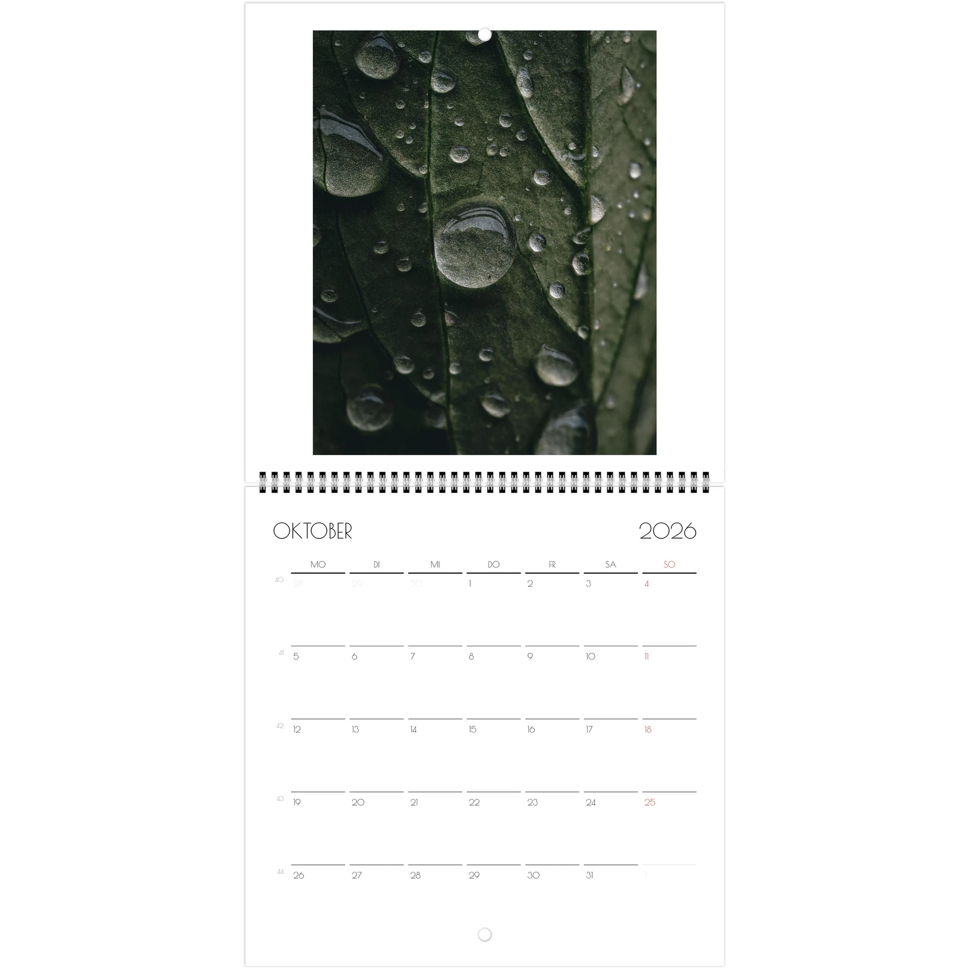 56d1feb9-96db-4005-9d60-814a5cdbaa73