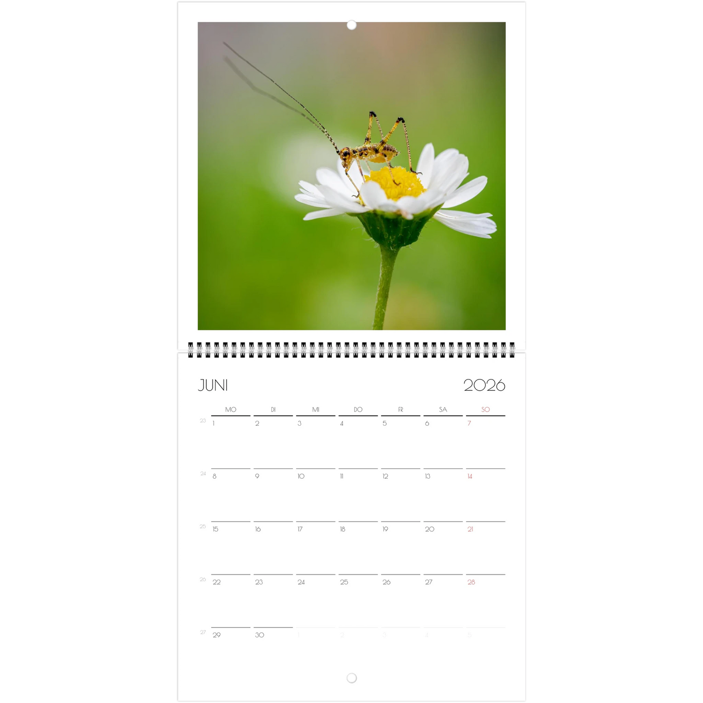 69442ea9-411c-4d3a-8f5a-dc5ba7c048a1