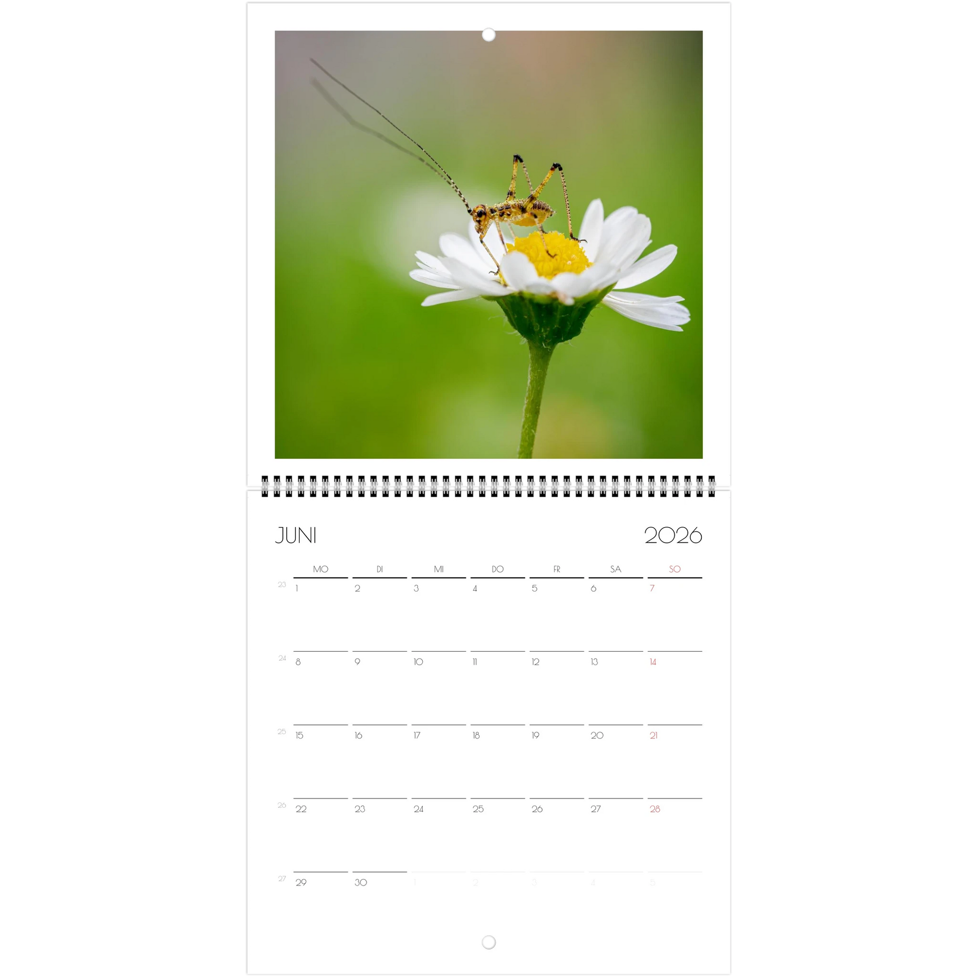 69442ea9-411c-4d3a-8f5a-dc5ba7c048a1