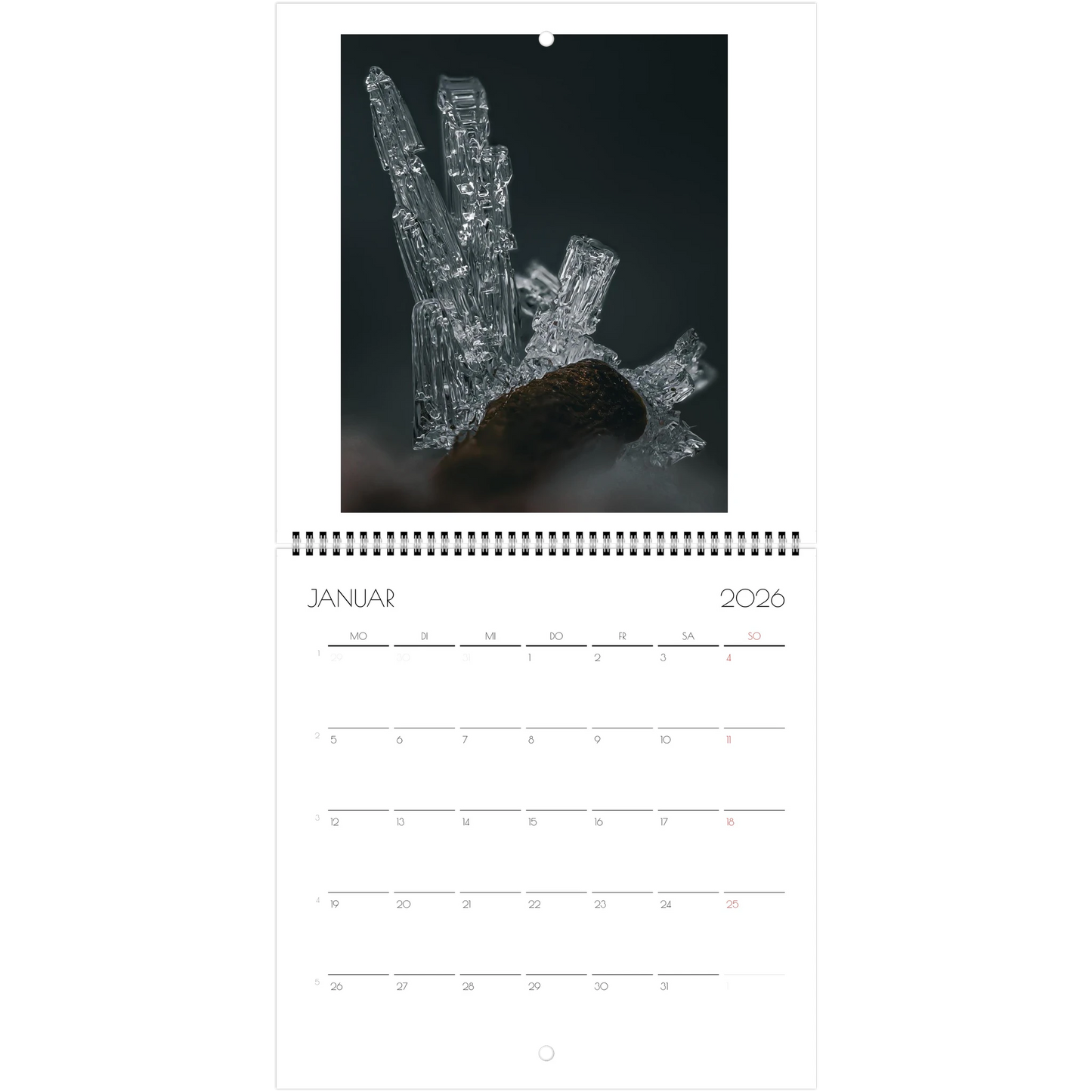 9b9bbc66-a5d3-447f-9114-0671668b27e1