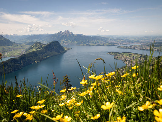 Wallpaper Aussicht von der Rigi