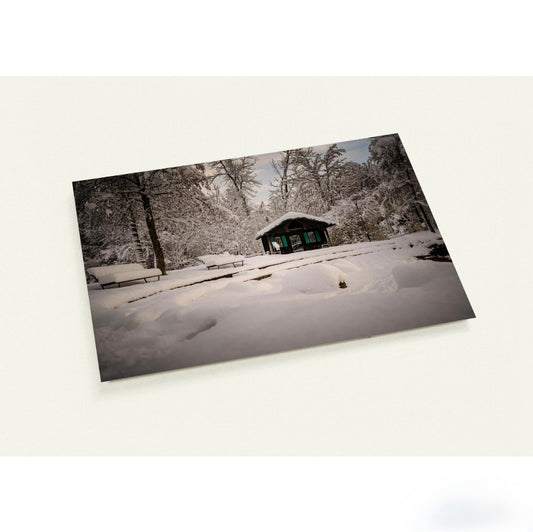 Winter im Villettepark / A6 (10.5 x 14.8) - Roland Widmer widrol 