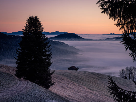 Wallpaper Nebelmeer auf dem Raten