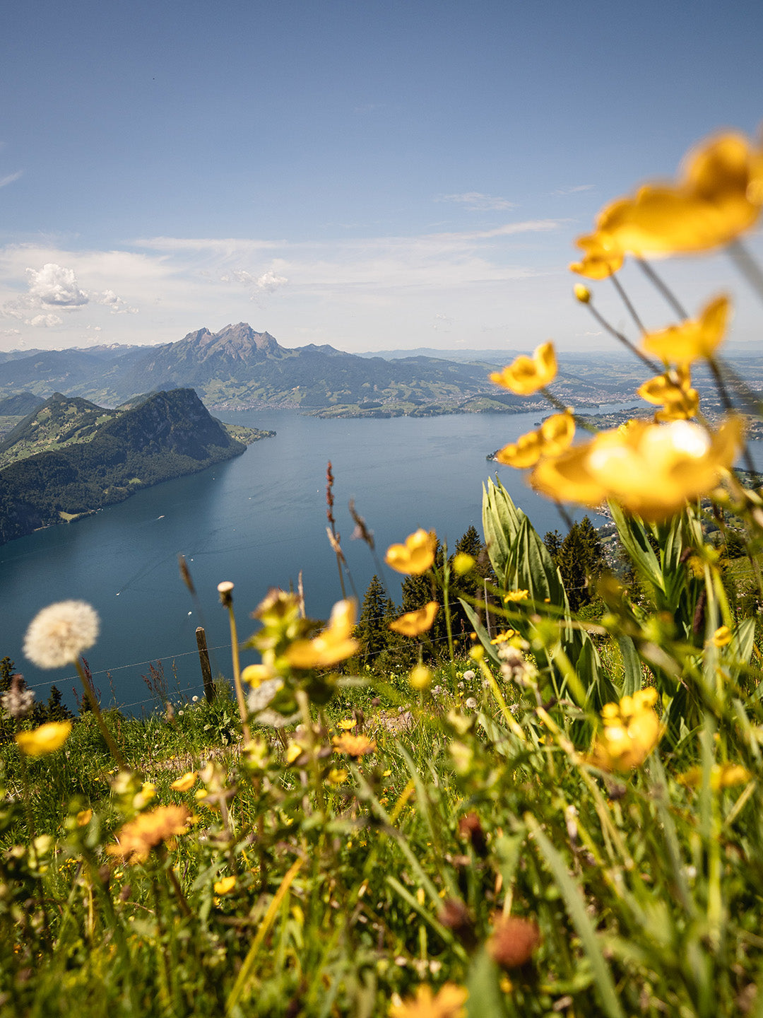 Wallpaper Aussicht von der Rigi