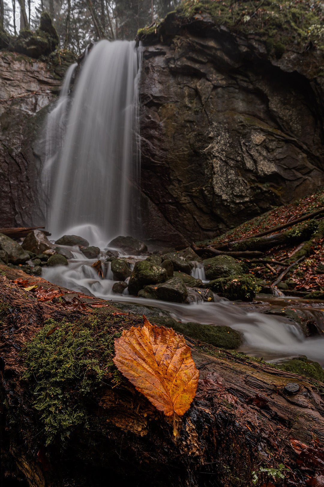 Wallpaper Wasserfall im Herbst