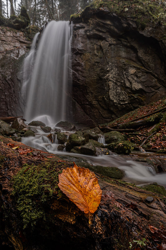 Wallpaper Wasserfall im Herbst