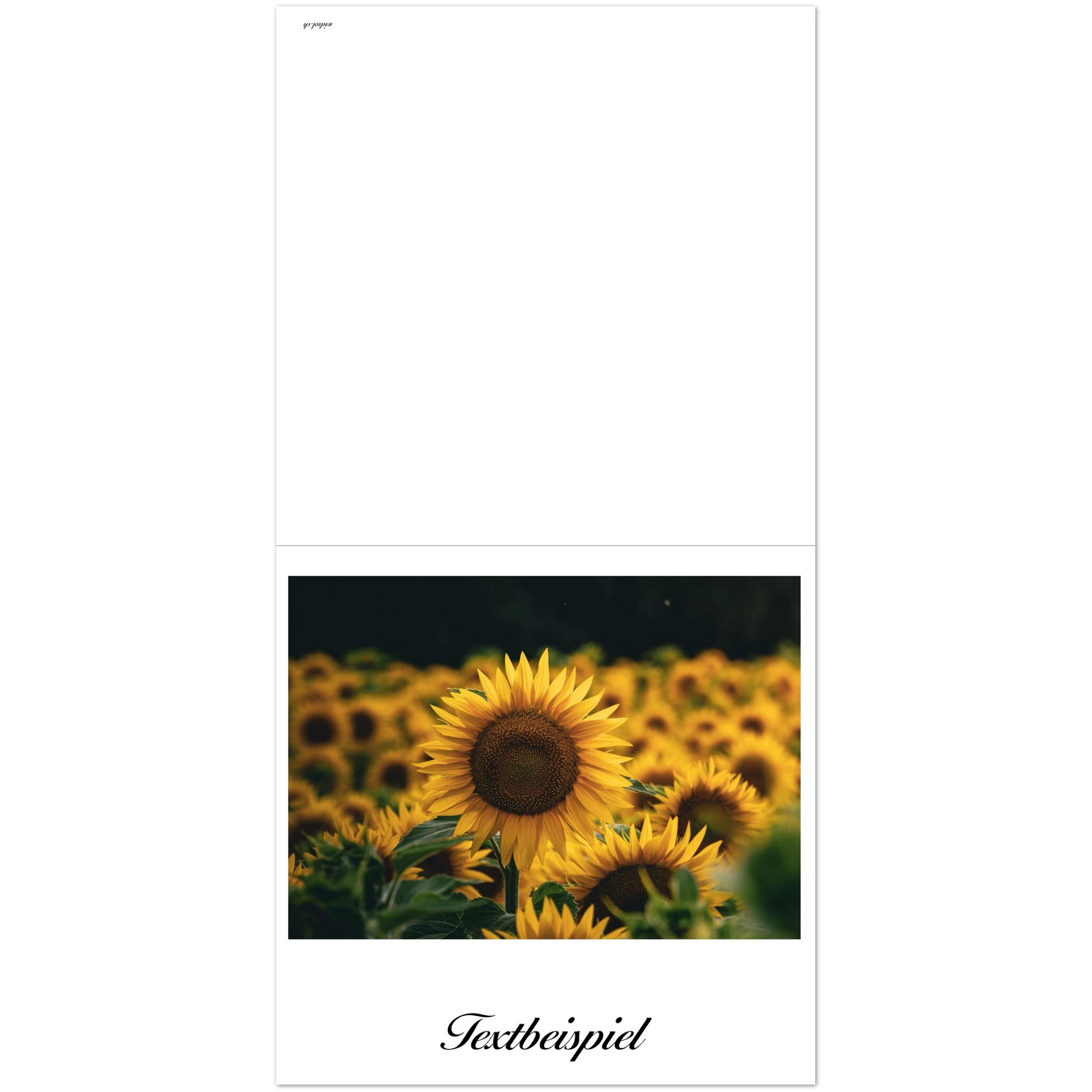 ae14c40e-0b84-429a-a83a-eb29a8461953