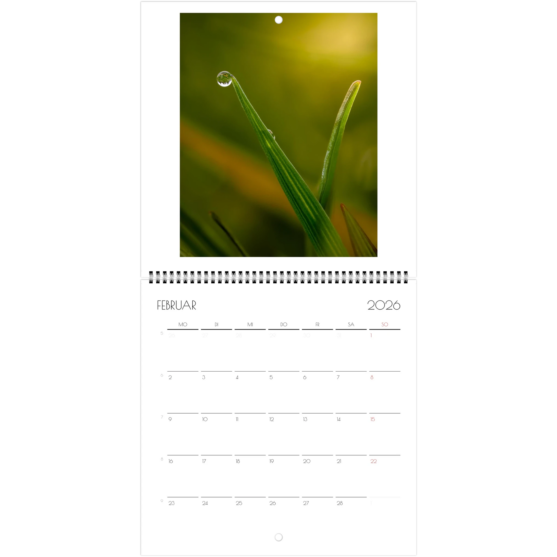 c747940d-8da6-4f19-a45f-16674d9d23d5