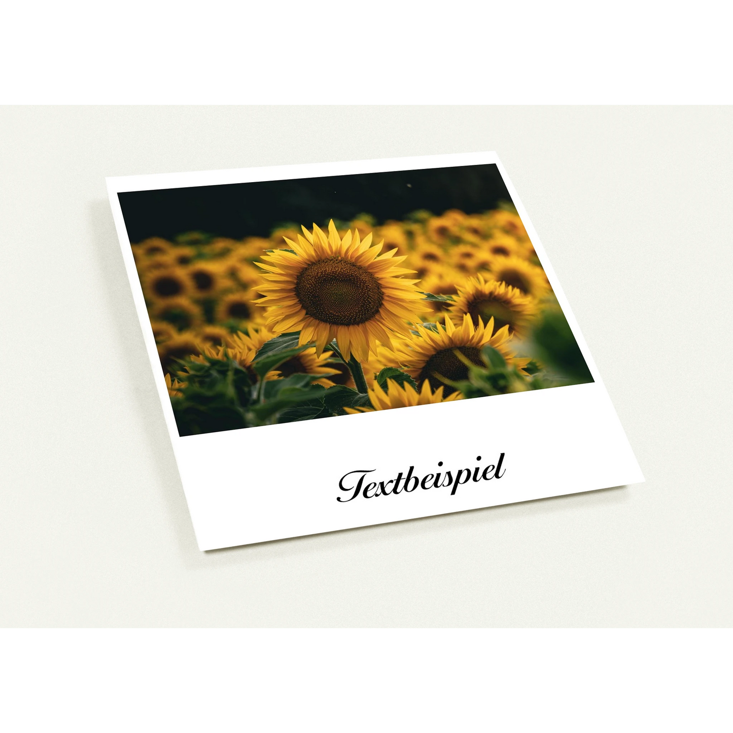 d61773da-948d-4f62-92cc-929498657305