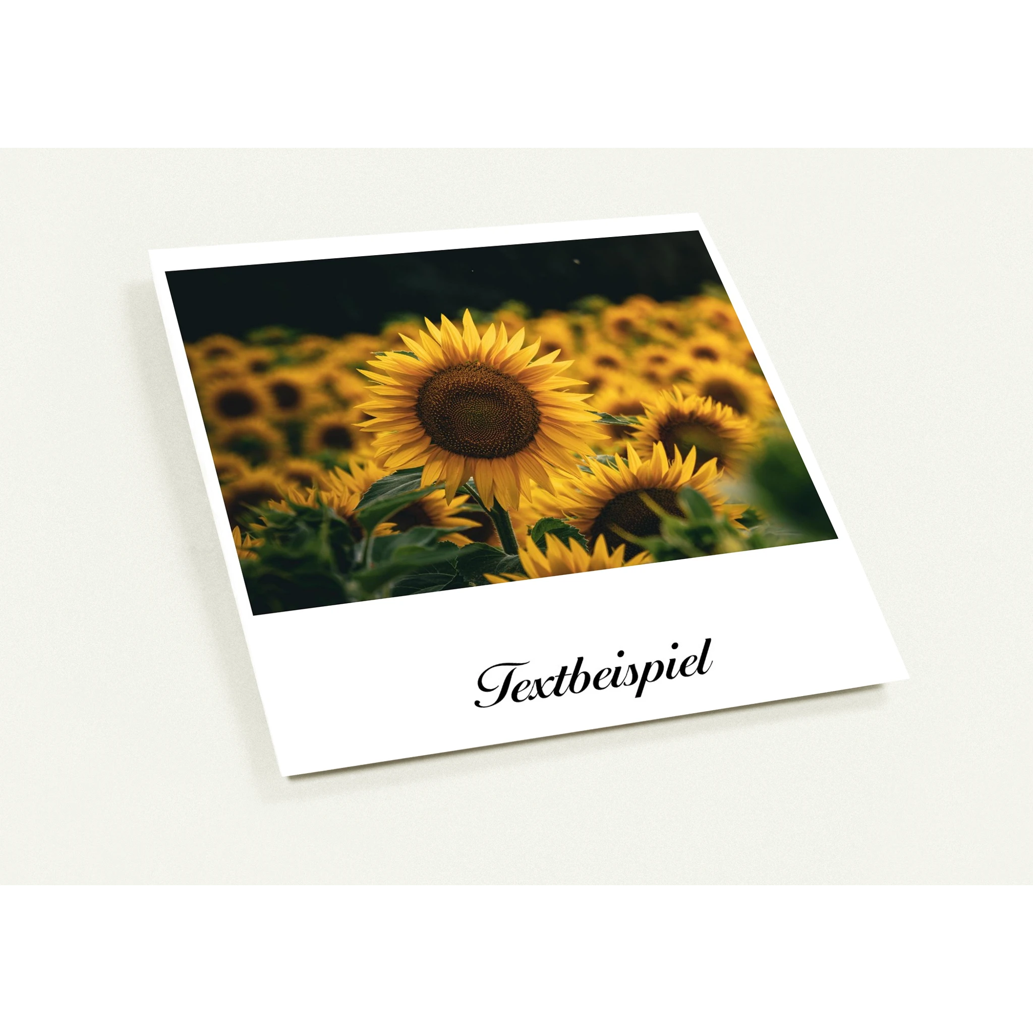 d61773da-948d-4f62-92cc-929498657305