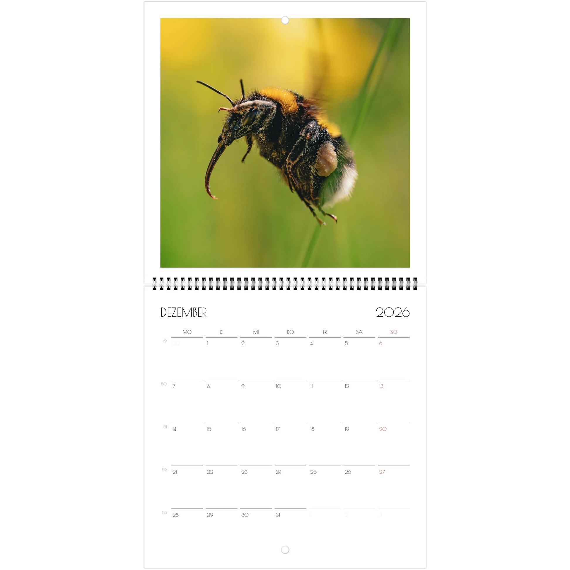 d9062334-c2a5-417d-a3c6-a7b93c85f2c8