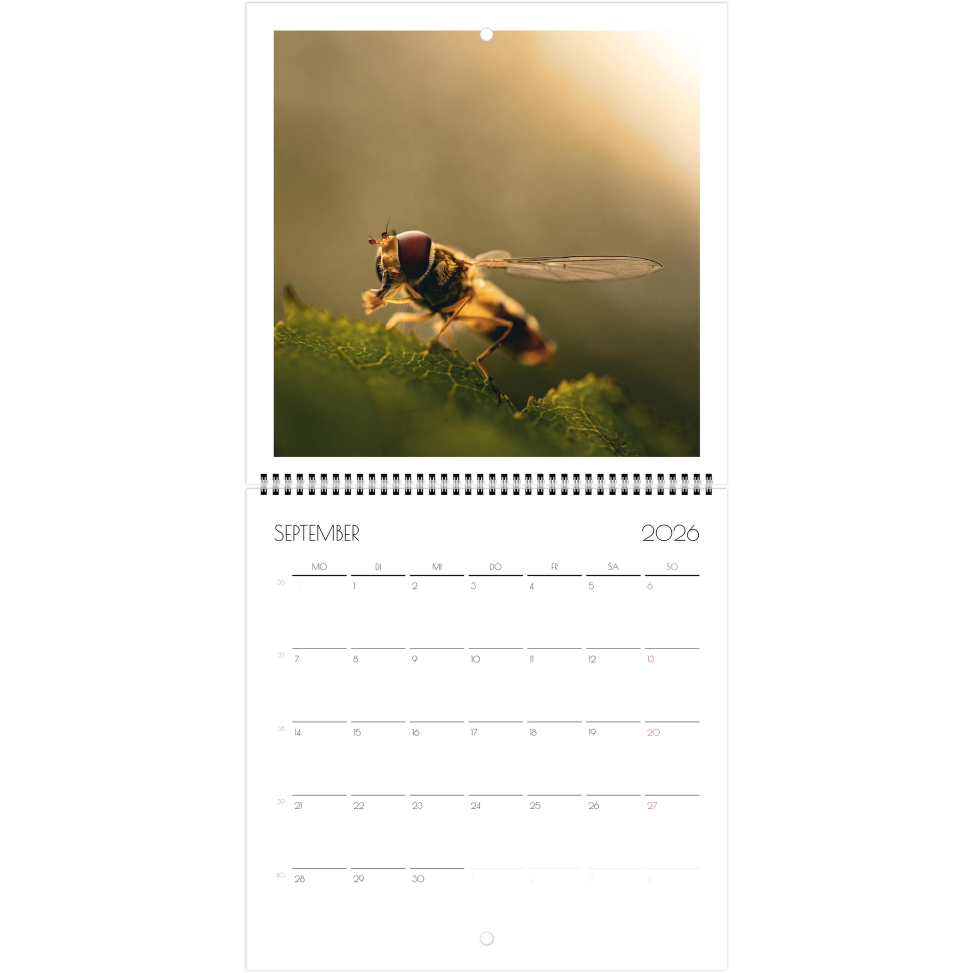 df255ffc-1720-41c0-8106-15fdf782ee14