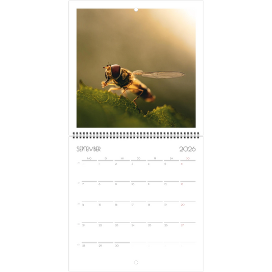 df255ffc-1720-41c0-8106-15fdf782ee14