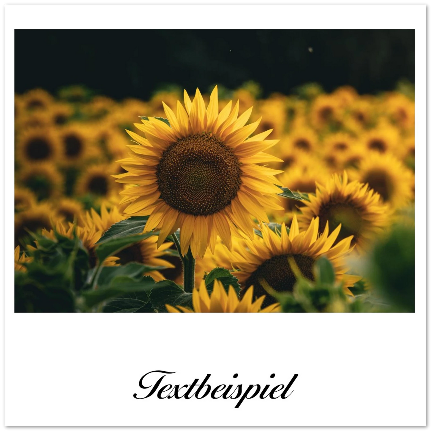 f09d177b-3e75-4df7-b6f7-744c06776a15