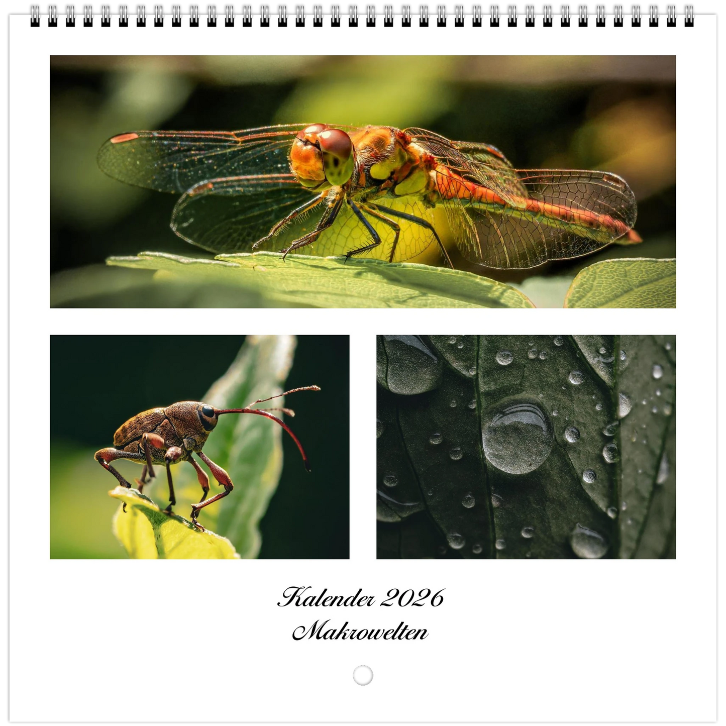 f4d42c2d-6195-4364-9d3c-199b1a8e5b3e