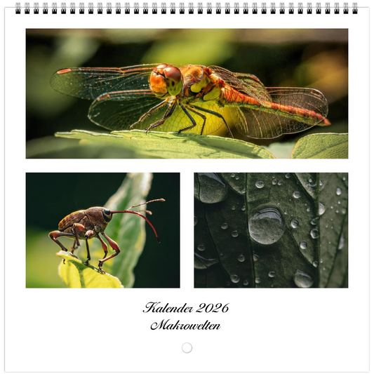 f4d42c2d-6195-4364-9d3c-199b1a8e5b3e