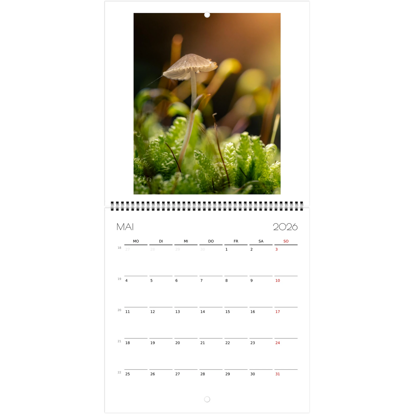 f6cfedde-9e73-4df9-bf03-0be06132b4f7