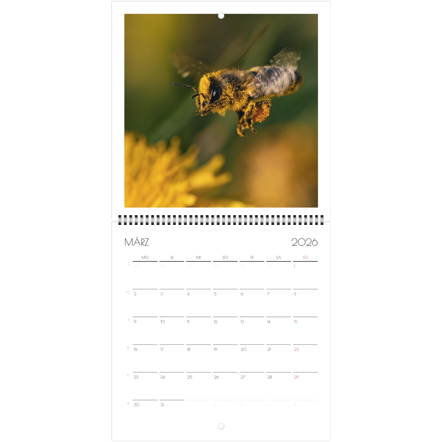 f974540d-b168-43eb-9395-26356305c299